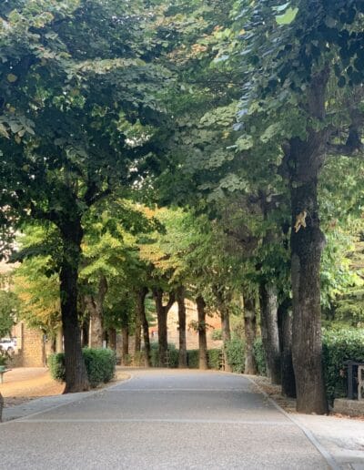 Pathway to Fortezza Medicea di Montepulciano
