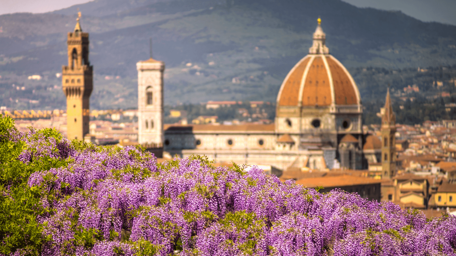 How Much Does a Tuscany Trip Cost? A Real Budget Breakdown for Americans