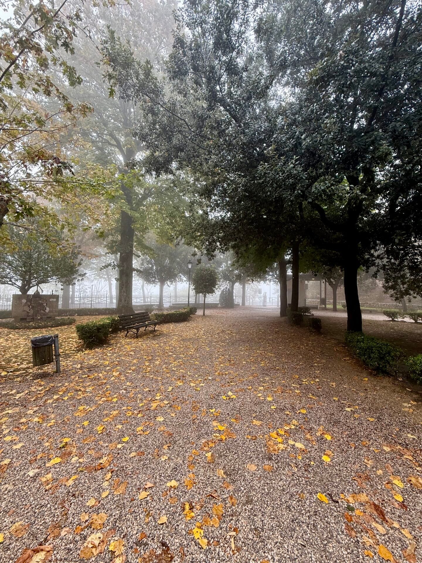 October in Montepulciano: A Local’s Guide for Visitors